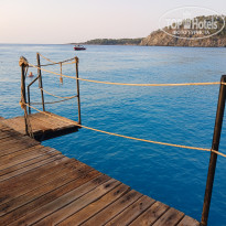 фото из отзыва ID 2710498