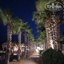 фото из отзыва ID 2710498