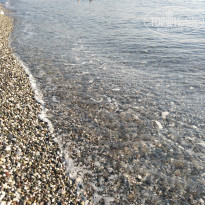 фото из отзыва ID 2710553