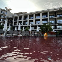 фото из отзыва ID 2710564