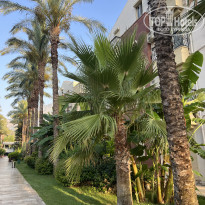 фото из отзыва ID 2710560