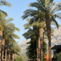 фото из отзыва ID 2710560