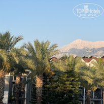 фото из отзыва ID 2710560