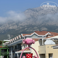 фото из отзыва ID 2710560