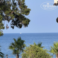 фото из отзыва ID 2710560