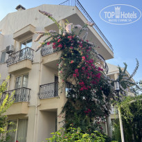 фото из отзыва ID 2710560