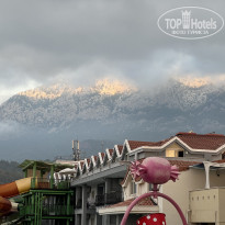 фото из отзыва ID 2710560