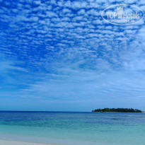 фото из отзыва ID 2710558