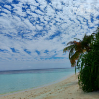 фото из отзыва ID 2710558