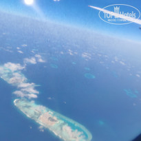 фото из отзыва ID 2710558