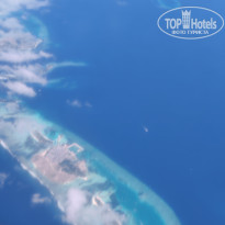 фото из отзыва ID 2710558