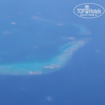 фото из отзыва ID 2710558