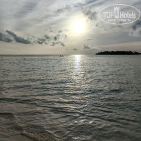 фото из отзыва ID 2710558