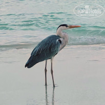 фото из отзыва ID 2710558