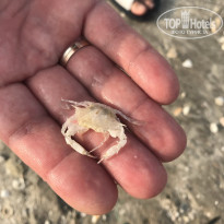 фото из отзыва ID 2710568