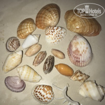 фото из отзыва ID 2710568