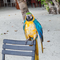 фото из отзыва ID 2710558