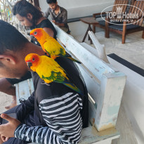 фото из отзыва ID 2710558