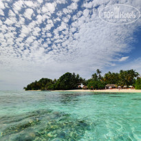 фото из отзыва ID 2710558