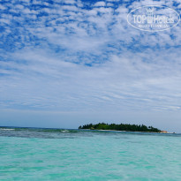 фото из отзыва ID 2710558