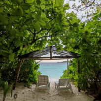 фото из отзыва ID 2710558