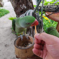 фото из отзыва ID 2710558