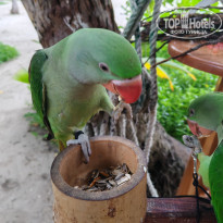 фото из отзыва ID 2710558