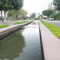 фото из отзыва ID 2710554