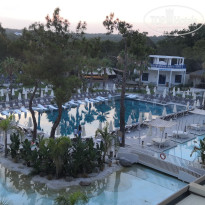 фото из отзыва ID 2710554