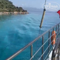 фото из отзыва ID 2710597