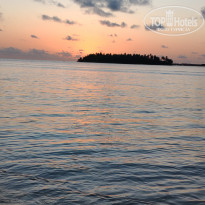 фото из отзыва ID 2710609