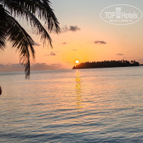 фото из отзыва ID 2710609