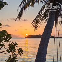 фото из отзыва ID 2710609