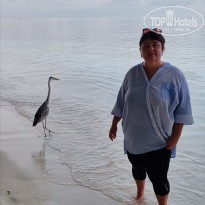 фото из отзыва ID 2710609