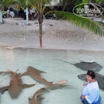 фото из отзыва ID 2710609