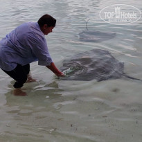 фото из отзыва ID 2710558