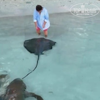 фото из отзыва ID 2710558