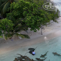 фото из отзыва ID 2710558