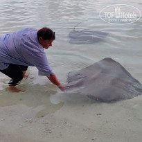 фото из отзыва ID 2710558