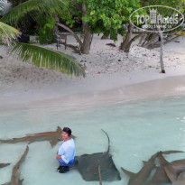 фото из отзыва ID 2710558