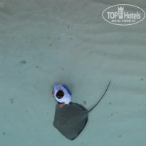 фото из отзыва ID 2710558