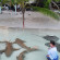 Ecoboo Maldives