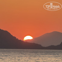 фото из отзыва ID 2710734