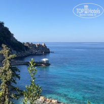 фото из отзыва ID 2710734