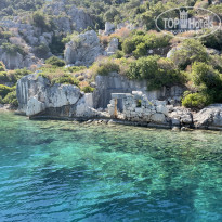 фото из отзыва ID 2710780