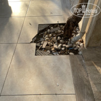 фото из отзыва ID 2710782