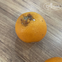 фото из отзыва ID 2710782