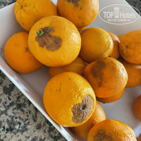 фото из отзыва ID 2710782