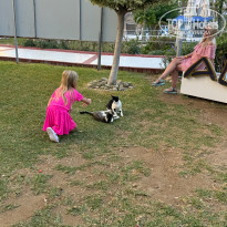 фото из отзыва ID 2710789