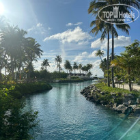 фото из отзыва ID 2710819